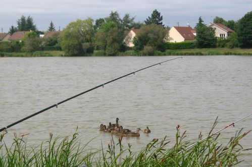 photos-articles 0201-copie-1