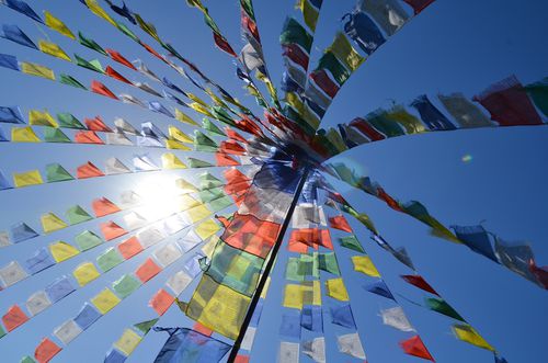 Drapeau Tibétain De Drapeau Du Tibet Photo stock - Image du lion