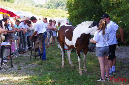 Foire aux agnelles-13