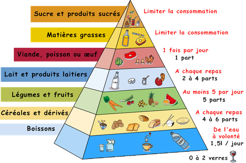 pyramide-alimentaire.png