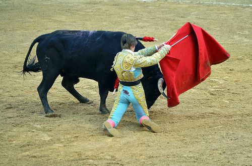 Campo de feria 154