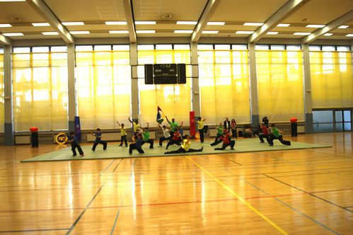 FESTIVAL WUSHU 13 MAI 2012 FFWAEMC VB