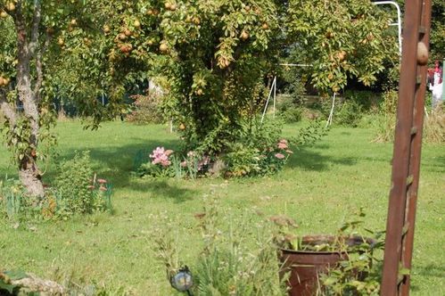 Nature-et-jardin-24 1112