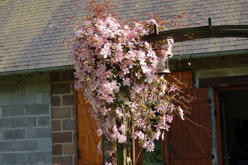Nature-et-jardin-25 0136