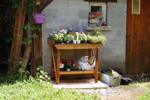Nature-et-jardin-25 0153