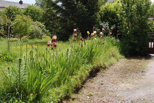 Nature-et-jardin-25 0160