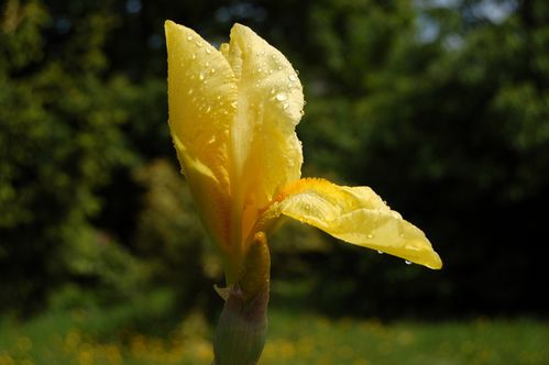 Nature-et-jardin-25 0164