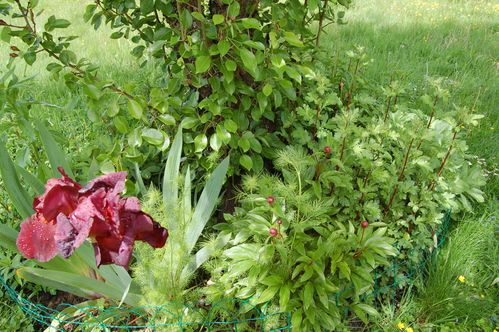 Nature-et-jardin-25 0182