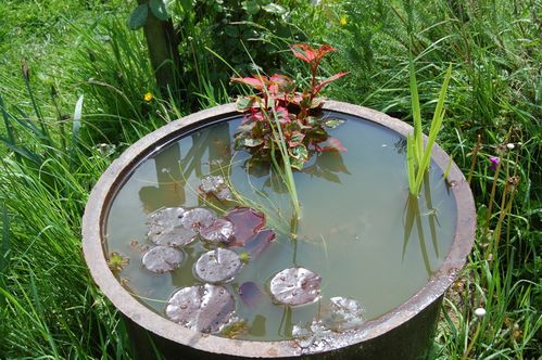 Nature-et-jardin-25 0186