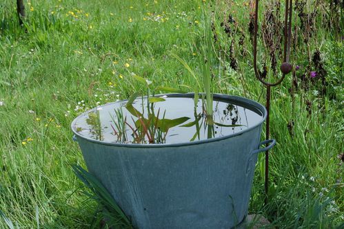 Nature-et-jardin-25 0187