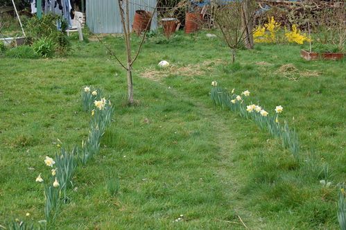 Nature-et-jardin-25-1914.JPG