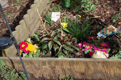 Nature-et-jardin-25-1956.JPG