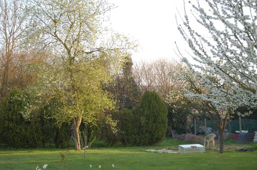 626 jardin 9