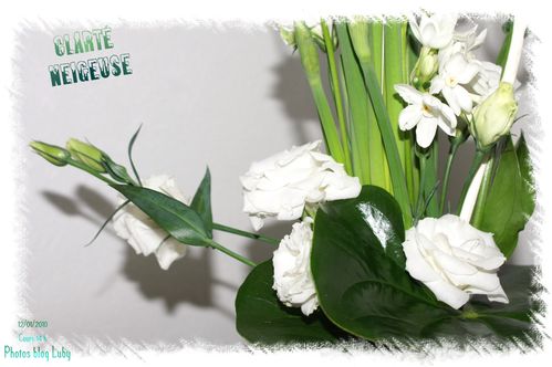 01 12 01 2010 clarté neigeuse 5