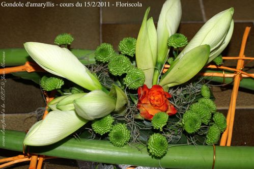2011 15 02 gondole amaryllis 3
