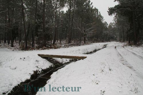 pont-en-bois-border.jpg