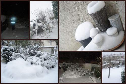 neige 11 edited