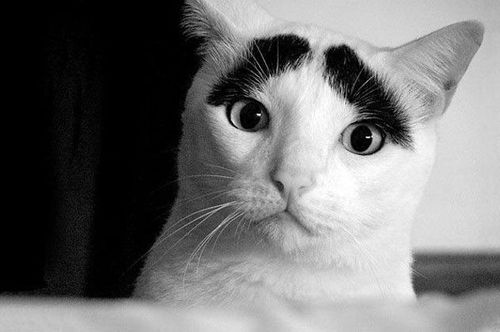 picdump139-3.jpg