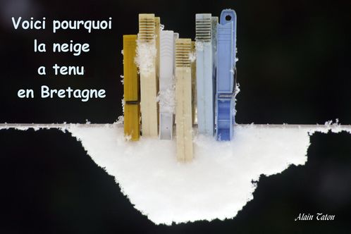 Alain-4-4077-copie-1.jpg