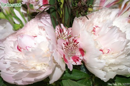 2011 10 05 jardin secret 1