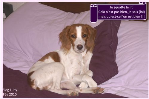 02 18 02 2010 sur le lit