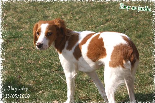 03 13 03 2010 veurey emy (2)