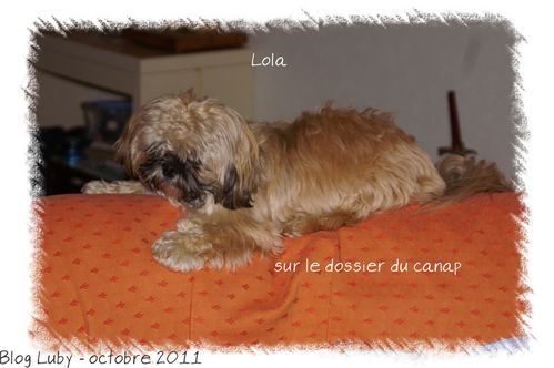 2011_oct-lola.jpg