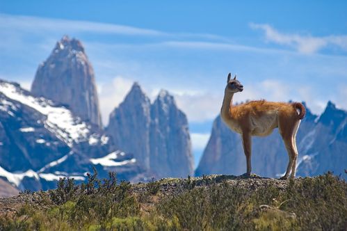images-Andes-vacances-voyages-au-Chili-fotos-tourisme-hh_p9.jpg