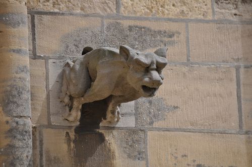 1-DSC_0043--57-.JPG