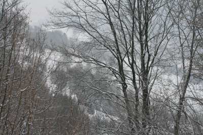 Vosges-hiver-2009-010-400.jpg