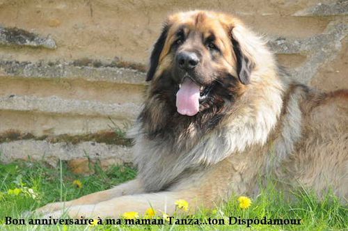 suite-16 5665a