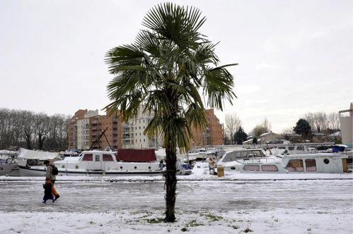 Ramonville Port sud