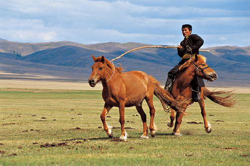 sous-les-yourtes-de-mongolie-04.jpg