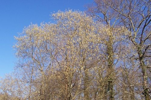 100_6542--640x426-.jpg