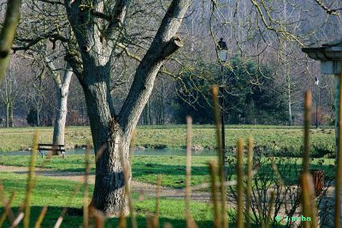 Brie Jardin