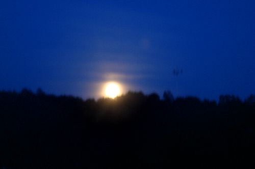 Bild 7-copy-2