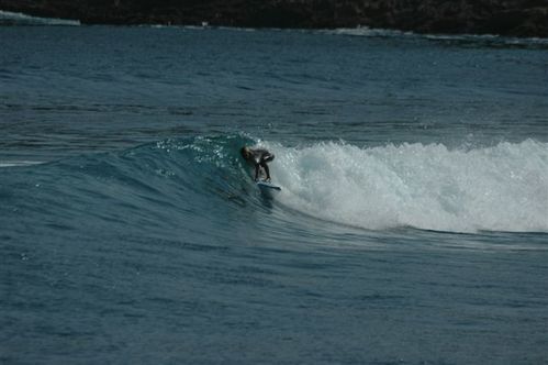 12-fevrier-2010-025.jpg