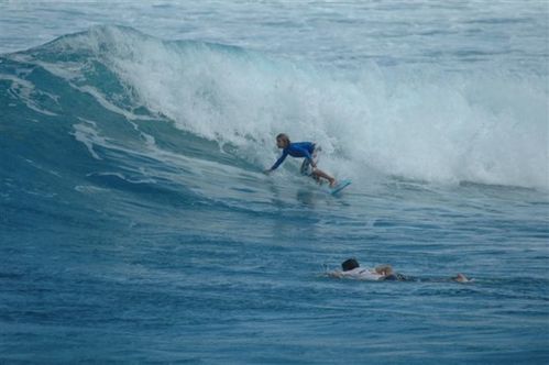 Open 14 fevrier 020