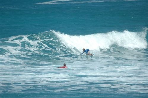 Open 14 fevrier 028