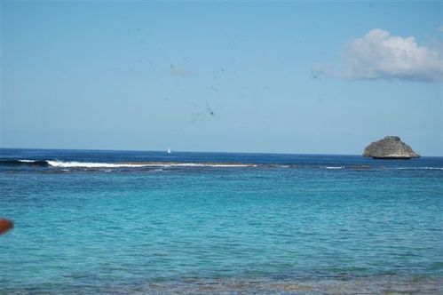Surf et SUP 240110 007