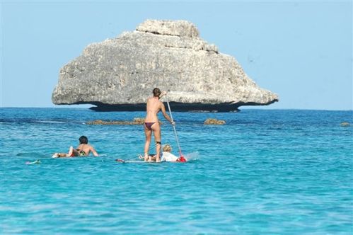 Surf et SUP 240110 023