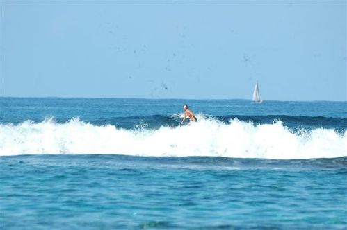 Surf et SUP 240110 098