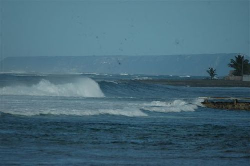 espoir fevrier 2010 041