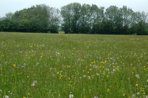 La-prairie-15.05.10 0471