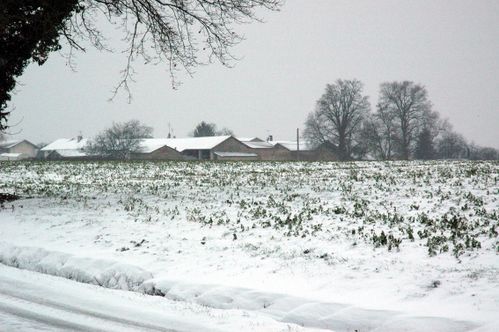 noel-blanc 0260