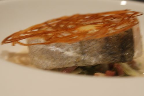 DSC03004
