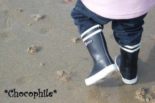 aigle.jpg