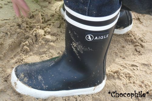 aigle3.jpg