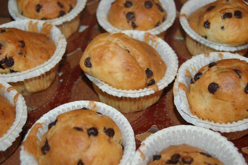 Muffins chocolat orange