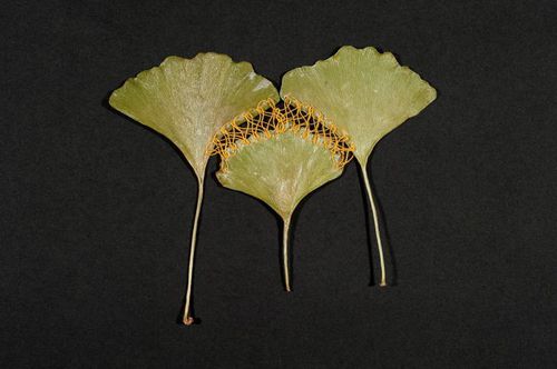 1508fc56eab973a65beccbf49c9573e7.jpg